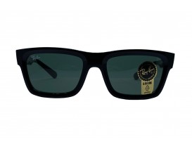 RAYBAN RB 4396 WARREN 667171 54-20 145 3N