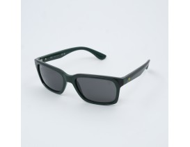 RAYBAN 4393 M F680-87 56-18 140 3N ORG FÜME CAM