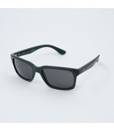 RAYBAN 4393 M F680-87 56-18 140 3N ORG FÜME CAM