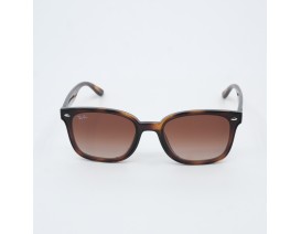 RAYBAN 4461 710-13 64-17 145 ORG DEG KAHVE CAM
