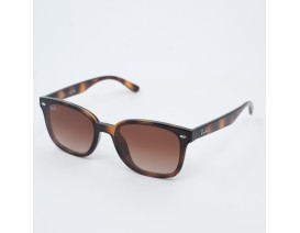 RAYBAN 4461 710-13 64-17 145 ORG DEG KAHVE CAM